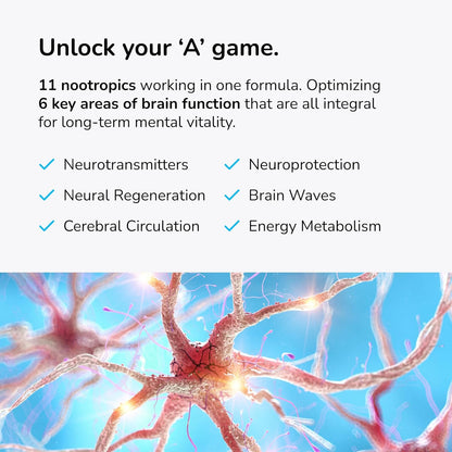 Mind Lab Pro MLP v4 Universal Nootropic